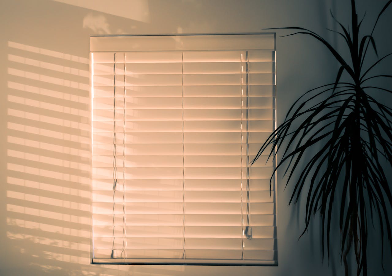 about-us-01 A serene interior with window blinds casting shadows on the wall and a potted plant nearby.
